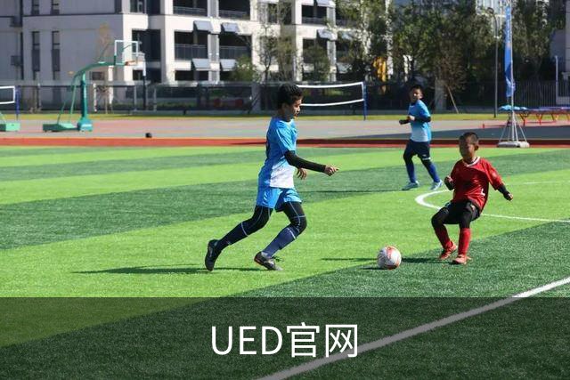 UED官网公司介绍图